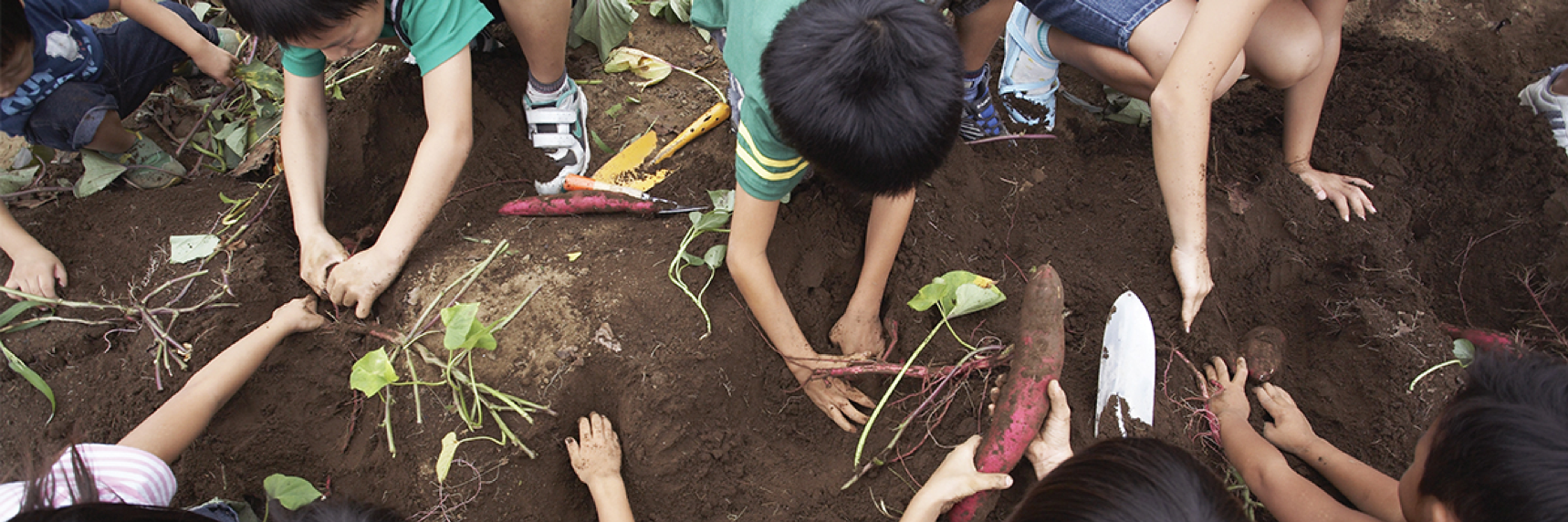 Kids planting a garden