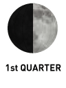 first quarter moon phase