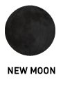 new moon phase